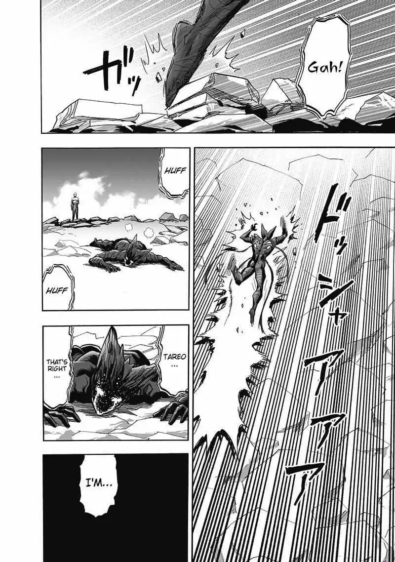 One-Punch Man Chapter 168 41